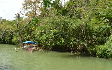 cherating river cruise