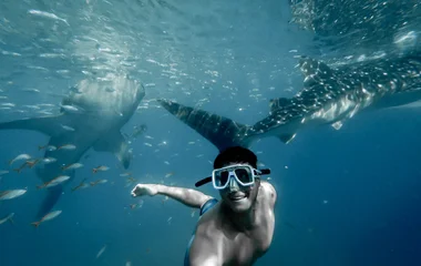 Man swimming with whale shark