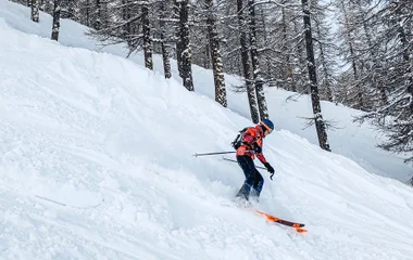 Ski