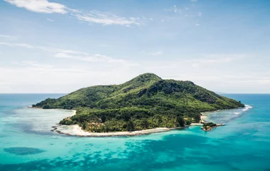 An island with turquoise water and palm trees