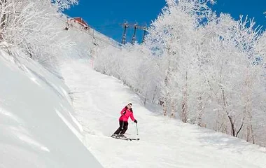 ทุ่งฟุราโนะ ฮอกไกโด