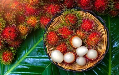 Rambutan, phuket, club med
