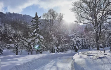 Japan ski packages in Hokkaido