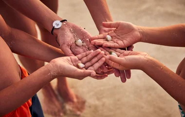 Caring for our guests