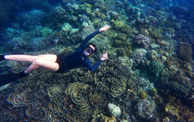 Snorkeling in thailand