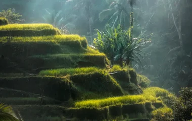Bali landscape