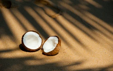 coconut on the sand
