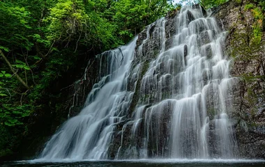 summer, hokkaido