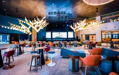 Stress-Free Organisation