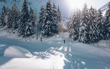 A man and a woman walking on a beach with palm trees