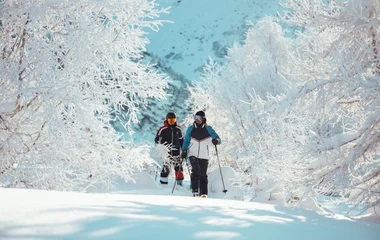 A beach with turquoise water and palm trees