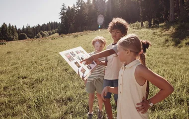 A beach with turquoise water and palm trees