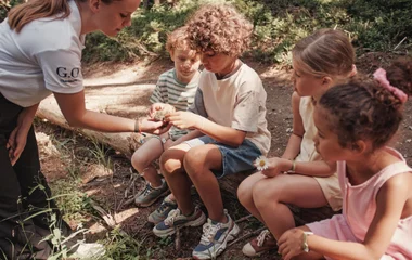 summer, forest, mountain, japan, club med