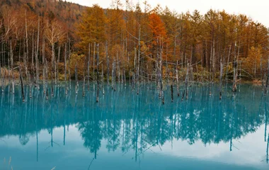 blue pond in biei