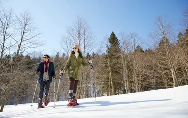 Ski resort in Japan