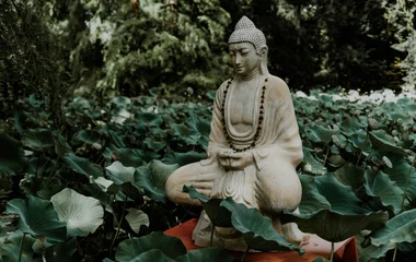 Buddha in a garden