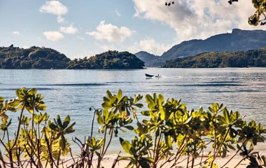 Ihr persönlicher Chauffeur