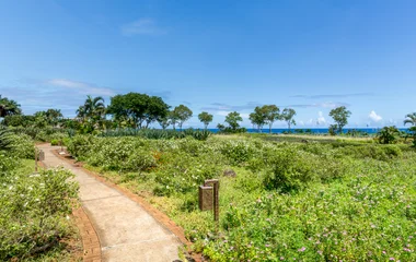 La randonnée pédestre