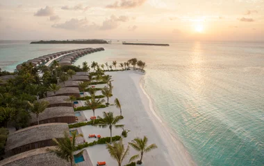 A man and a woman walking on a beach with palm trees