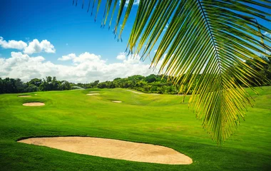 Our themed cruises to offer you an enriched on-board experience