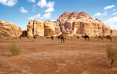 Circuits Découverte Club Med en Jordanie