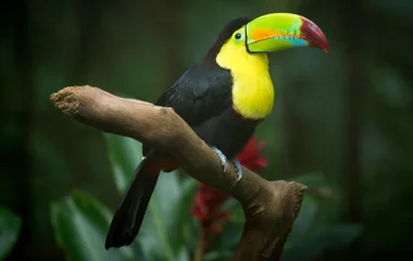 Circuits Découverte Club Med au Honduras