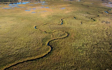 Circuits Découverte Club Med au Botswana