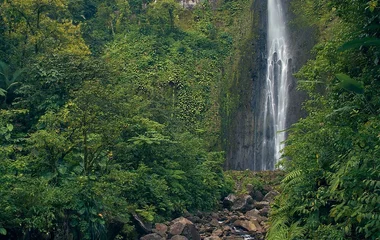 Visit the Carbet Waterfall