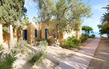 Emerveillement compris