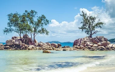 All-inclusive stay in the Seychelles: from the rainforest to the coral reef