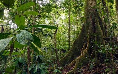 La meilleure période: février à avril