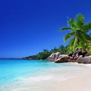 The beach