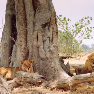 Circuits Découverte - les 6 bonnes raisons
