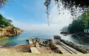 Les plages d'Aiguablava et de Puerto Banús