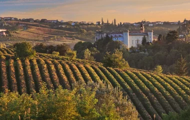 vignobles du Piémont