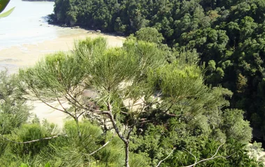 Bako National Park