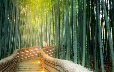 all-inclusive stay in Japan