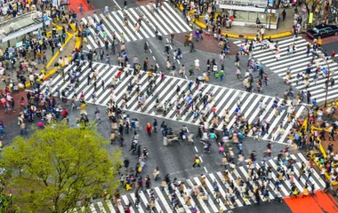 Japanese Culture
