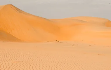 all-inclusive vacation in Senegal