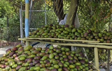Chinese Farmer’s Markets