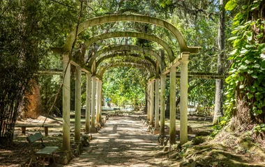 Jardin botanique au Brésil