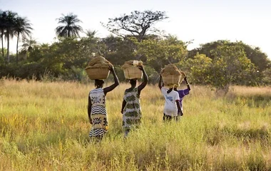 Almost 150.000 CHF collected every year