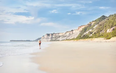 brésil paysage plage
