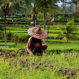 Expériences de vacances inédites au Club Med