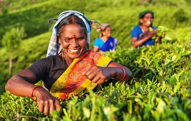 Eskapade auf Sri Lanka
