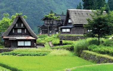 Circuit au Japon: Les voies du Tokaido