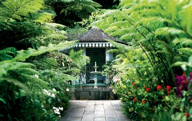 Eskapade auf La Réunion