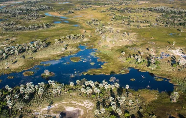 Delta de l'Okavango lors d'un voyage au Botswana