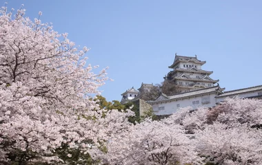Visit Japan and enjoy many of the world's most beautiful sites