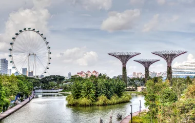 Vue sur les arbres artificiels lors d'un voyage à Singapour